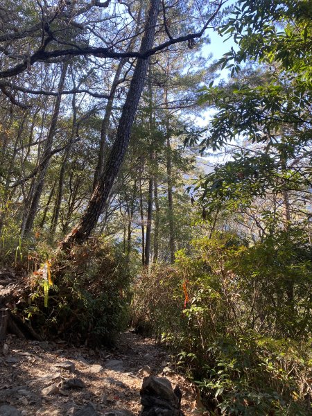 馬崙山11202103059279