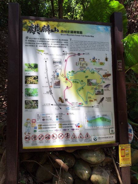 田中麒麟山森林步道202508172862038