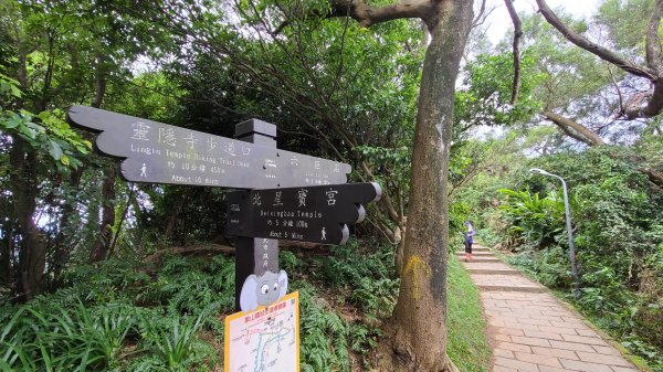 2020-1116象山-九五峰-虎山1171843