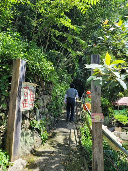 李棟山步道2206476