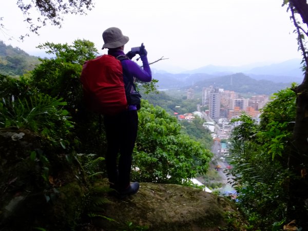 小山美學：新店小獅山步道886805