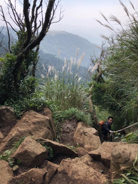大屯山西峰542103