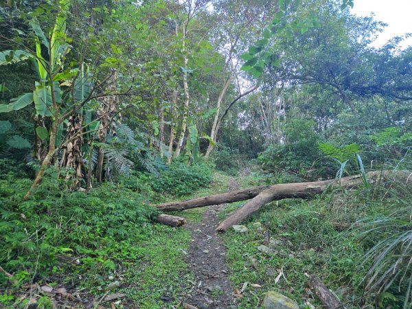 水雲三星～上島山（鳥嘴山）2931222