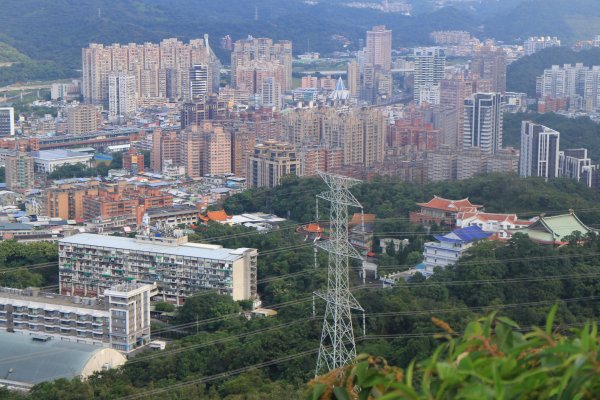 汐止大尖山健行活動 20191109735092