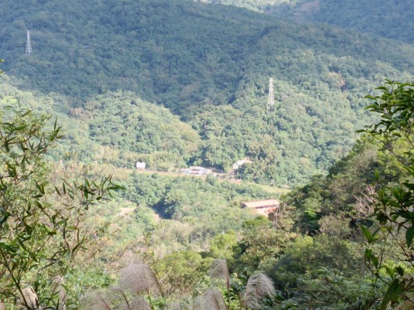 雙溪區聖南寺朝山古道+大竹林山(未果)2963571