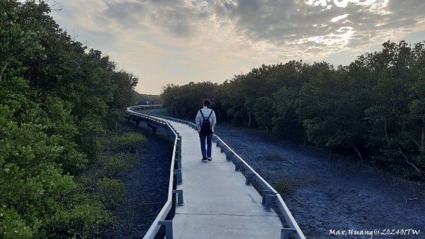《彰化》海空夕陽｜芳苑海空步道濕地紅樹林202401072397719