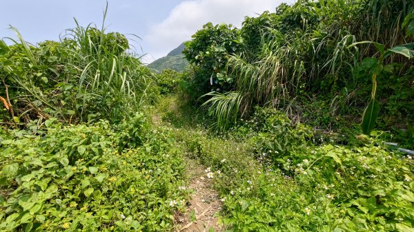 紅頭山3030539