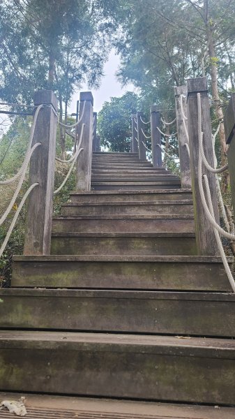 2025-0208聚興山小百岳2710885