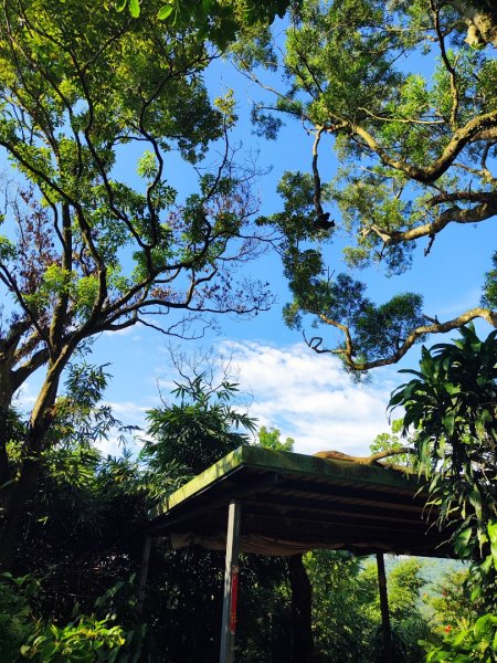 微笑山線之烘爐地土地公段2849182