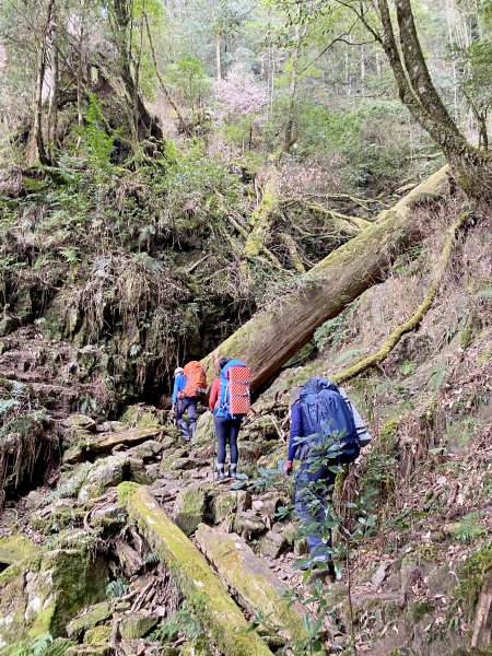 探訪巒安堂、西巒大山、治茆山三日行   1292696