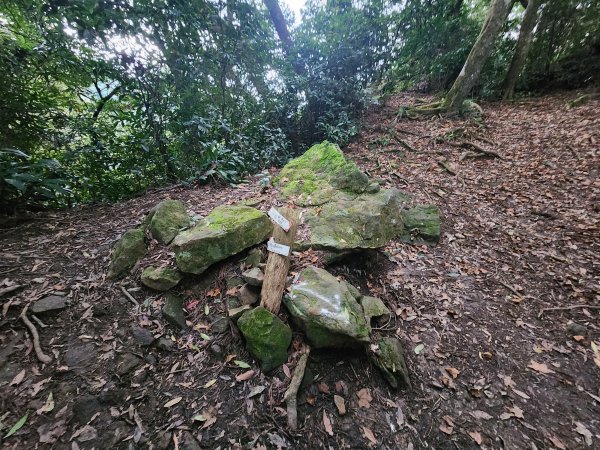 20250105鵝公髻山雲霧步道2726327