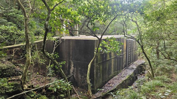 20260324福卯古道北段-萊萊越嶺古道-萊萊山腰古厝群3026825