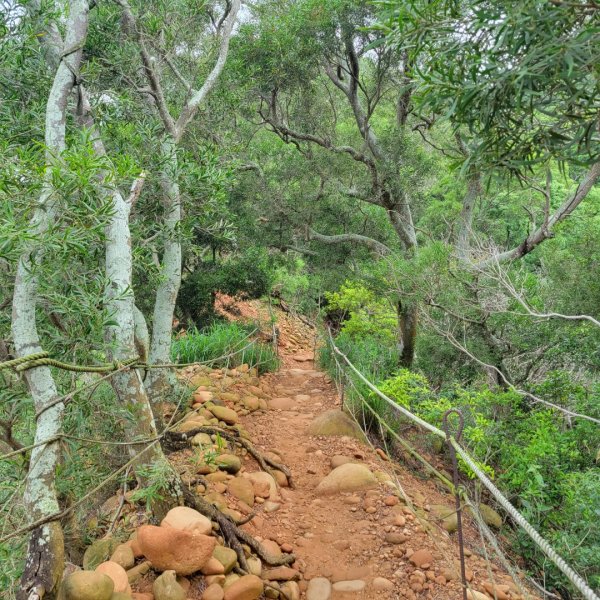 火炎山、南鞍古道O走2177527