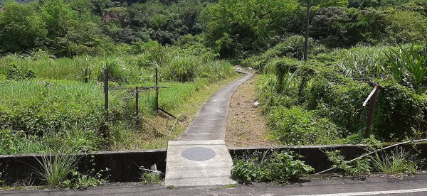 20200509 暖暖 - 威惠廟960916