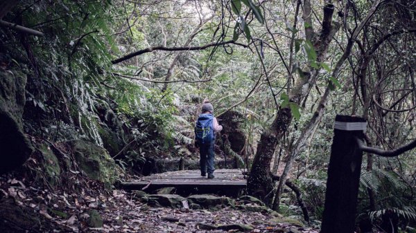 五指山古道-友蚋山南峰-新山-夢湖 O型連走1555409