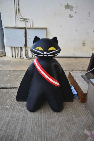 20251205竹竿埤-機堡公園-埔心大埤-懷德居2954756