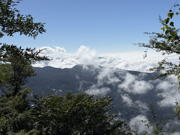 1141215大塔山步道2996150