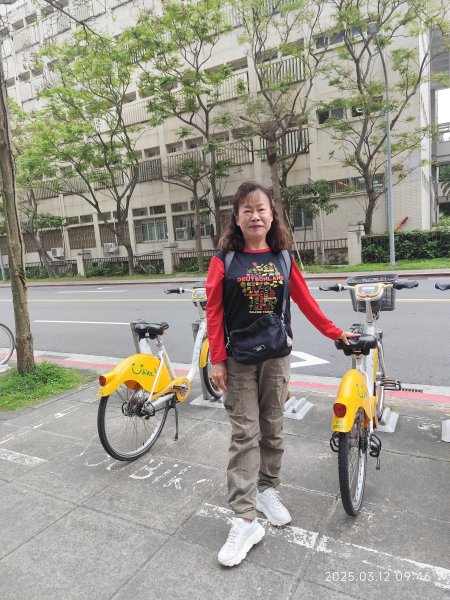 內湖運動中心→勞工保險局→南門市場→台灣電力公司→國立臺灣大學2734263