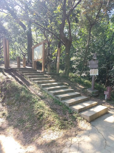 微笑山線：【大棟山系】百年大溶樹的2937028