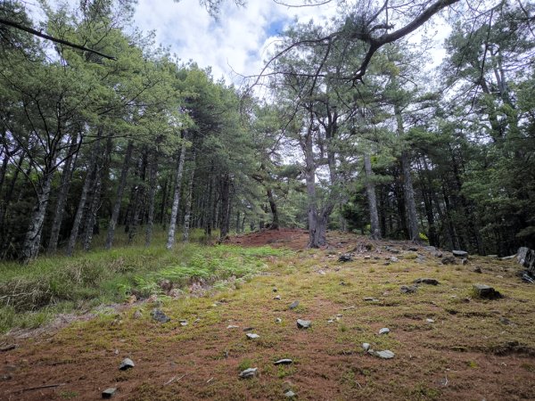 2026-05-23 小雪山防火巷、拾丸山南峰3062354