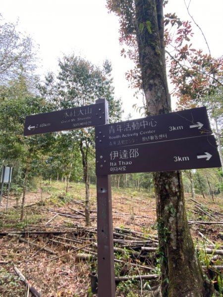 水社大山水晶蘭大爆發881612