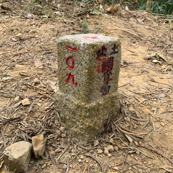 20260117台南阿拉溪斜瀑群縱走糖子恩山-水山頂山2985076