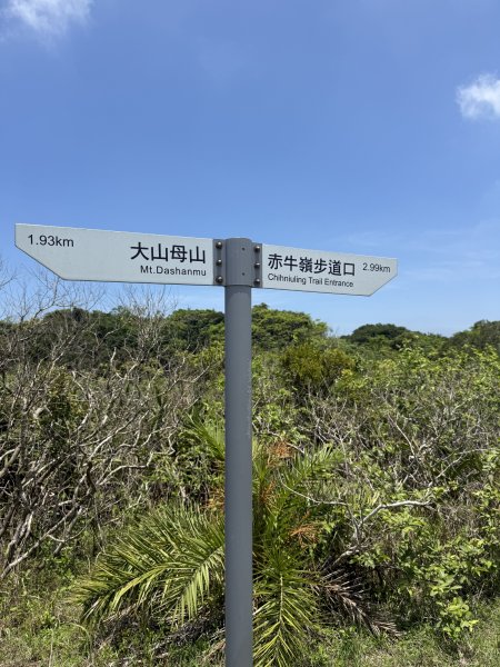 78赤牛嶺大山母山3083574