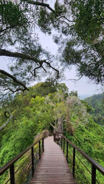 田中麒麟山連走田中森林公園北天宮O繞+ 田中大小劍逆走2756723