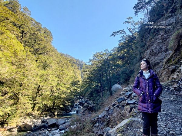 【南投】合歡溪步道：遠得要命的櫻花鉤吻鮭2912243