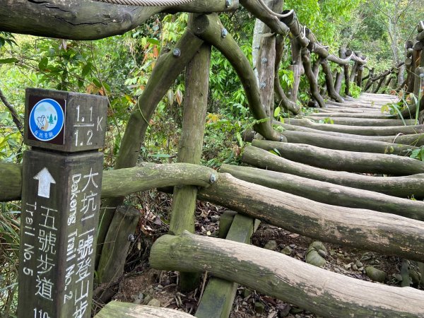 大坑2號原路來回2130455