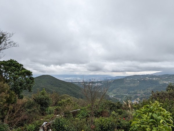 2023-01-23 劍潭山、大崙頭尾山親山步道2792369