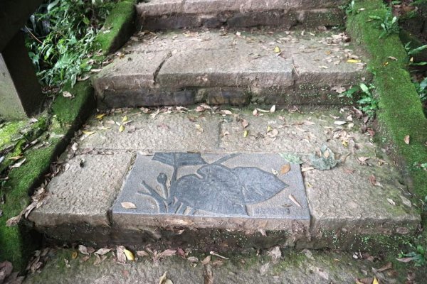 小百岳NO.13南港山，南港山北峰，九五峯2285596