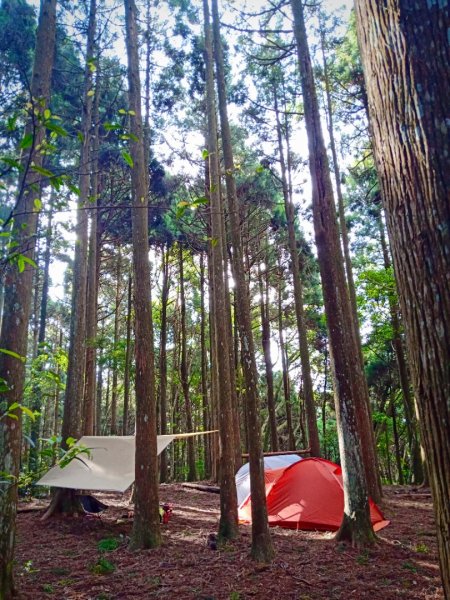 20211016_高島縱走1490484