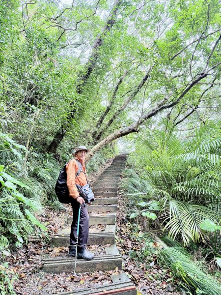 雙流帽子山悠遊  2025.01.032688540