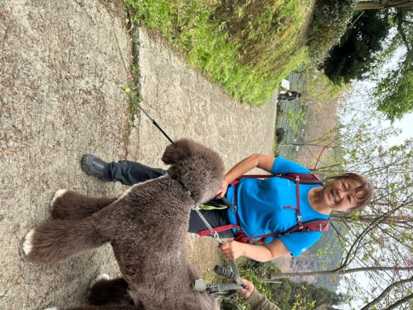 鵝公髻山（小百岳）鵝公髻山東北峰2449830