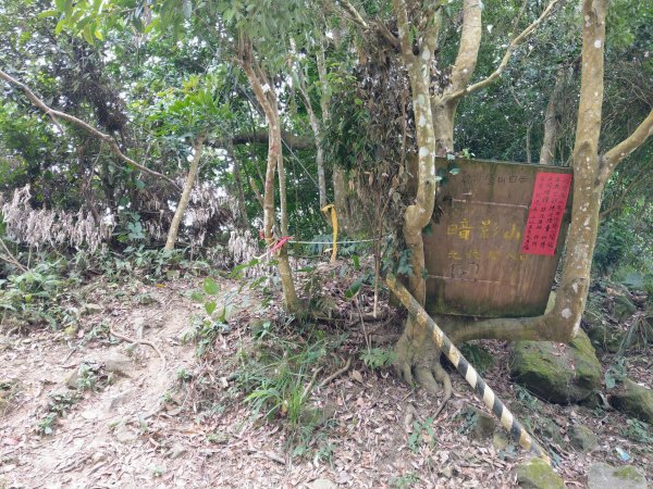 暗影山(小百岳#44)步道 2020/10/171429184