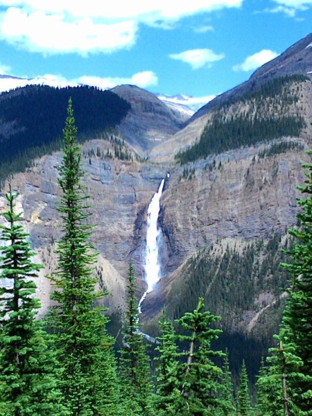 Iceline Trail (YOHO 加拿大幽鶴國家公園)2634588