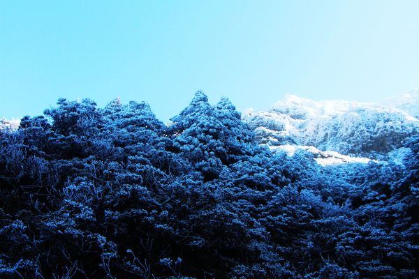 玉山  風雪後 , 另一番美景 !224485