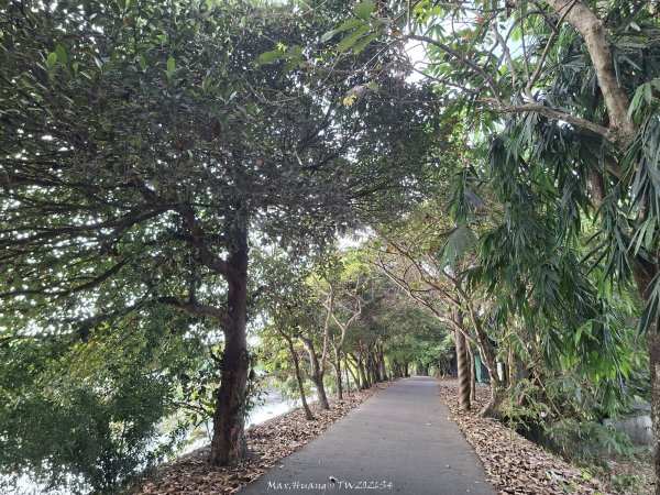 《南投》河岸賞鳥｜竹山下坪生態步道O繞202610173136783