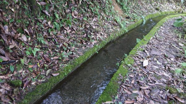 百年環山水圳步道登山健行趣(步道)1555110