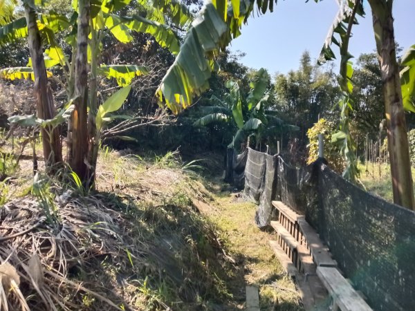 坪林區楣子寮尖+土地公遺址+火燒寮古道+枋山坑古道+枋山坑崙O型2985683