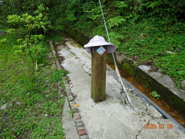 橫嶺山自然步道2020.07.091029049