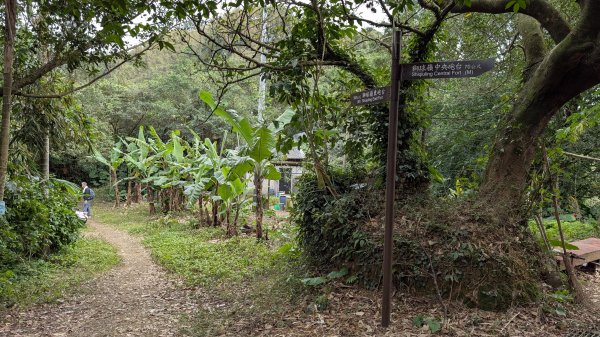 114.12.20劉銘傳隧道-獅球嶺北峰-獅球嶺東砲台山-獅球嶺池-獅球嶺砲台山之旅2966721