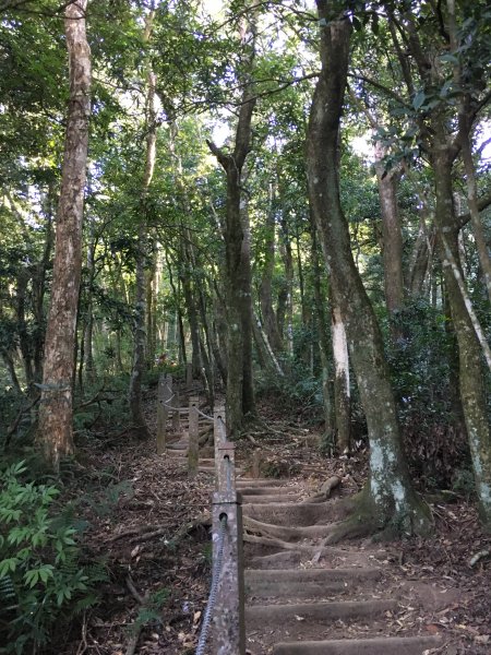 20161218_馬那邦山874328