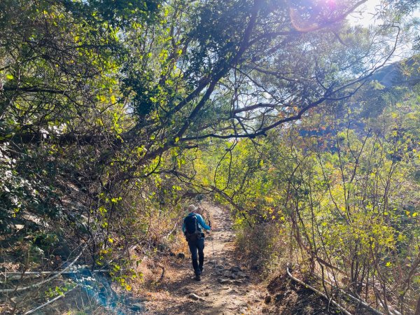 1150123里龍山2986661