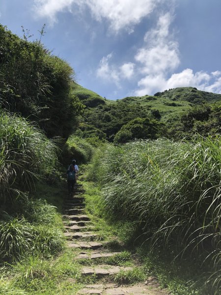 【台北大縱走3】冷水坑-七星山-小油坑1006326