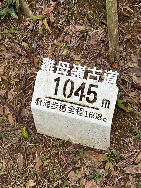 2025-01232淡蘭古道北二段(燦光寮古道到澳底)2696701