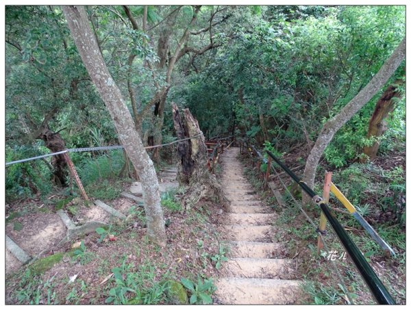 大坑/觀音山(小百岳)626926