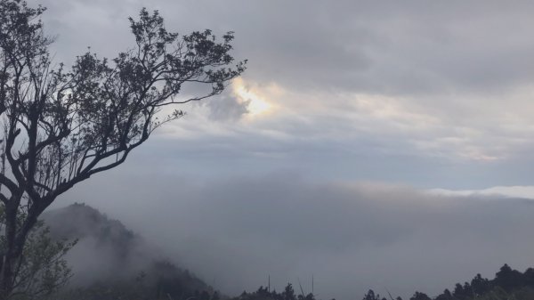 20200411-五分山步道914473