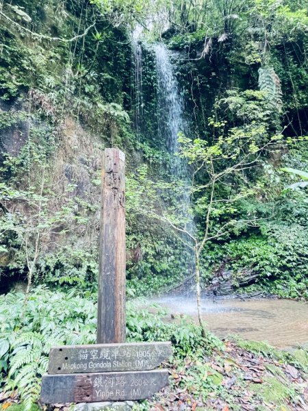 20250413 銀河洞越嶺步道-六分山-待老坑山-員潭子坑山2761197
